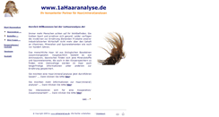 Desktop Screenshot of 1ahaaranalyse.de