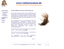 Tablet Screenshot of 1ahaaranalyse.de